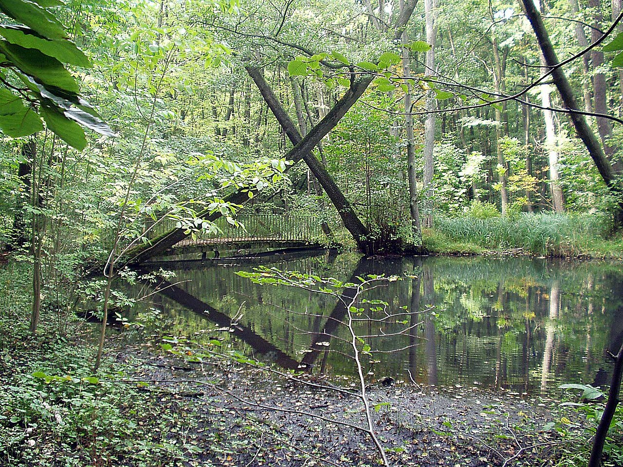 Das Flüßchen Schwärze südlich von Eberswalde; Wünschelbrücke in der Nähe der Zainhammer Mühle. Foto von Ralf Roletschek